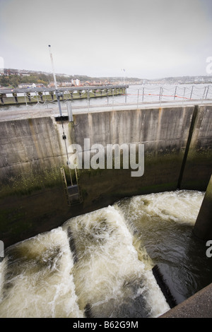 Lachs-Pass auf Flut von Cardiff in Wales, Vereinigtes Königreich Stockfoto