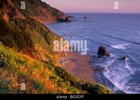 Abendlicht am Küstenklippen über Strand in der Nähe von Crescent City, Kalifornien Stockfoto