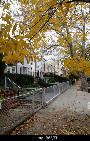 S-Bahn Häuser auf einer grünen Straße in Astoria Queens New York Amerika USA Stockfoto