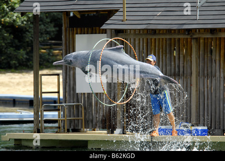 DELPHIN-LAGUNE IN SENTOSA SINGAPUR Stockfoto