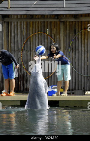 DELPHIN-LAGUNE IN SENTOSA SINGAPUR Stockfoto