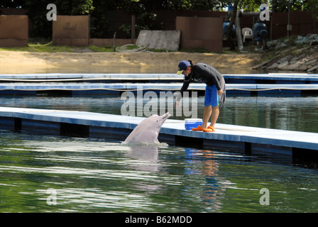 DELPHIN-LAGUNE IN SENTOSA SINGAPUR Stockfoto