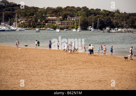 Fuß die Hunde am Strand Stockfoto