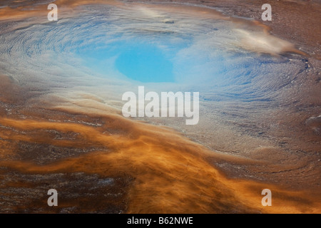 Dampf aus Geysiren, Norris Geyser Basin, Yellowstone-Nationalpark, Wyoming, USA Stockfoto