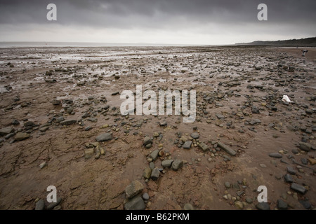 Ansicht der Küstenregion oder Strand in Cardiff / Penarth Bay, Wales, Vereinigtes Königreich Stockfoto