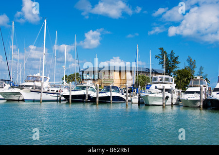 Rusty Pelican in Miami Stockfoto