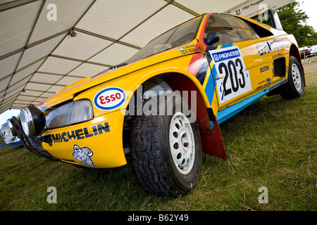 1985-Peugeot 405 T16 Gruppe B Rallye-Auto auf der Koppel beim Goodwood Festival of Speed, Sussex, UK. Stockfoto