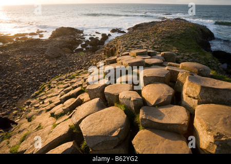 Damm-Schritte: sechseckige Säulen aus Basalt Glühen in der Nachmittagssonne, während sie in Richtung der Wellen des Meeres-down Step Stockfoto