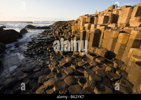 Glühende Causeway: Der Giant es Causeway s einzigartige Form Hexagonal Felsen, die Spalten sind ein wichtiger touristischer Anziehungspunkt für die Küste von Antrim Stockfoto