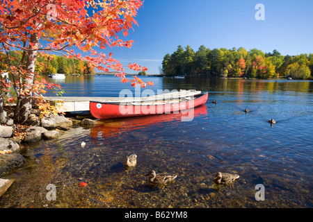 Herbst Kanu auf Quakish See, Millinocket, Maine, New England, USA. Stockfoto