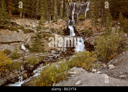 Tangle Creek Falls im Jasper National Park Stockfoto