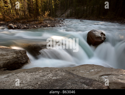 Sunwapta Falls im Jasper National Park Stockfoto