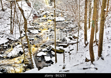 Grand Falls und Schleifstein Bach im Winter Bruce Trail Niagara Escarpment Hamilton Ontario Kanada Stockfoto