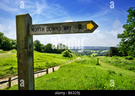 North Downs Way Fußweg Richtung Wegweiser Schild, Newlands Ecke, Surrey Hills, England, Großbritannien Stockfoto