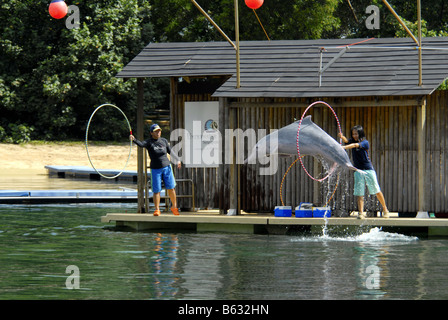 DELPHIN-LAGUNE IN SENTOSA SINGAPUR Stockfoto