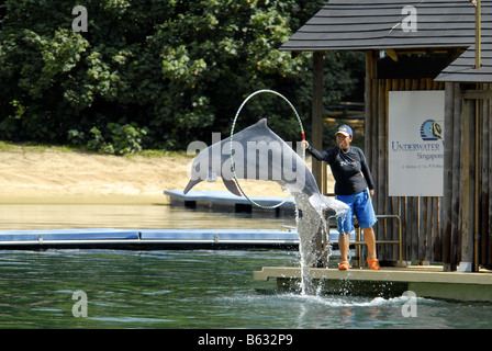 DELPHIN-LAGUNE IN SENTOSA SINGAPUR Stockfoto