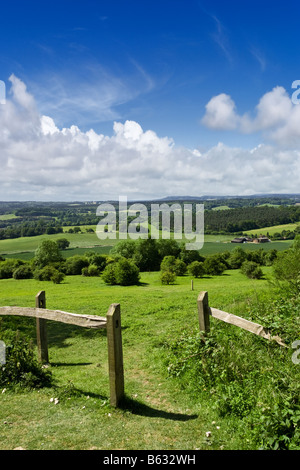 Gegen über der Surrey Sussex Weald von der North Downs Way in der Surrey Hills, England, Großbritannien Stockfoto