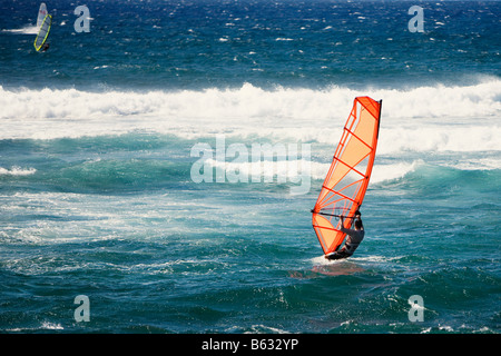 Windsurfen in der Meer, Hookipa Beach, Maui, Hawaii, USA Tourist Stockfoto