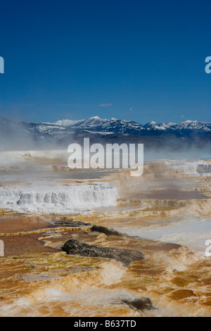 Erhöhte Ansicht des Dampfes entstehen aus einer heißen Quelle, Angel Terrace, Mammoth Hot Springs, Yellowstone-Nationalpark, Wyoming, USA Stockfoto