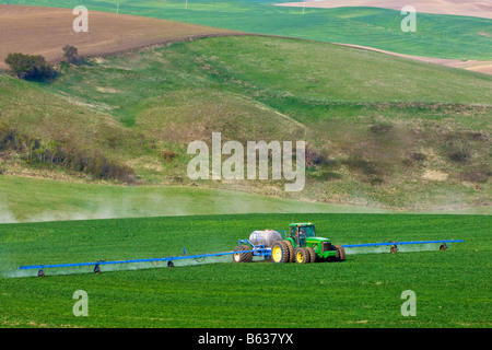 Spritzen von Winterweizen zur Unkrautbekämpfung in der Palouse Region Washington Stockfoto