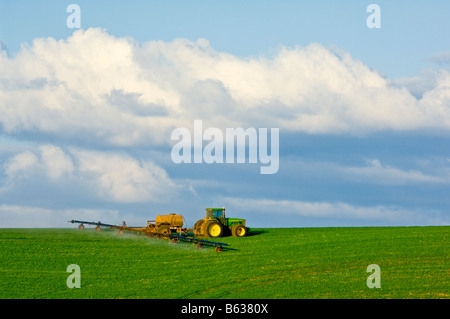 Spritzen von Winterweizen zur Unkrautbekämpfung in der Palouse Region Washington Stockfoto