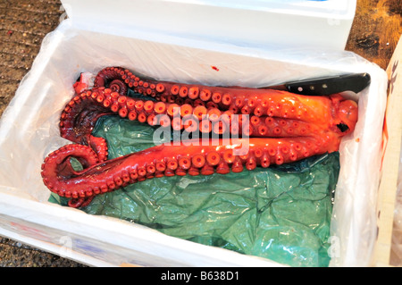 Krake für den Verkauf auf einen Stand auf dem Tsukiji-Markt, Tokyo, Japan Stockfoto