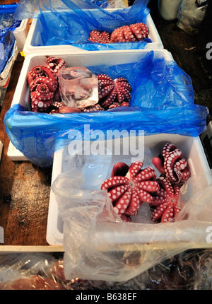 Krake für den Verkauf auf einen Stand auf dem Tsukiji-Markt, Tokyo, Japan Stockfoto