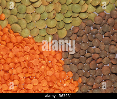 Grün-braun und orange Linsen Objektiv Culinaris in der Küche verwendet Stockfoto