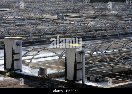 Der Hirte der Hügel Fish Hatchery, die Forellen in diesen Becken für die Sportfischerei in den umliegenden Seen von Missouri auslöst Stockfoto