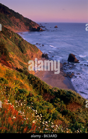 Abendlicht am Küstenklippen über Strand in der Nähe von Crescent City, Kalifornien Stockfoto