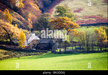 Bauernhaus eingebettet am unteren Hang im Herbst in den Lake District National Park, Cumbria, England, UK Stockfoto