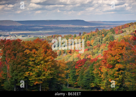 Herbstlaub in der Canaan Valley West Virginia Stockfoto