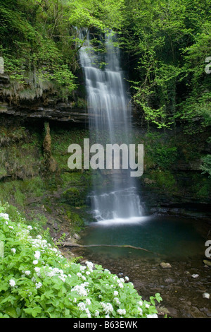 Glencar Wasserfall, County Leitrim, Irland Stockfoto