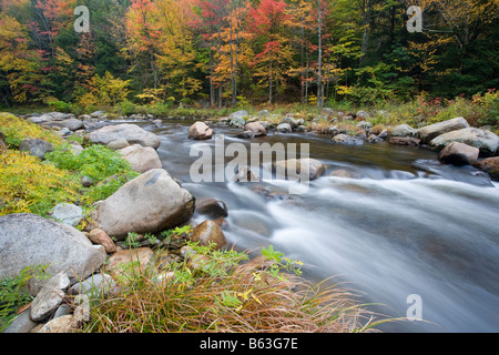 Herbst Bäume entlang der Ufer der Ellis River, Jackson, White Mountains, New Hampshire, USA. Stockfoto