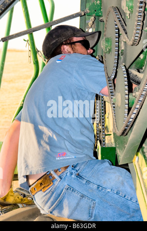 Ein Mähdrescher-Operator führt Wartungsarbeiten an einem Mähdrescher als Teil des täglichen Dienstes vor Beginn der Ernte für den Tag Stockfoto