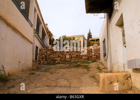 getrockneten Tabakblätter gehängt Outdoor-Haus in Deir el Ahmar Dorf Osten Bekaa Tal Baalbek Bereich Libanon Stockfoto