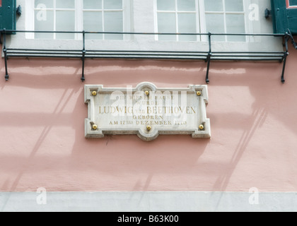 Gedenktafel außerhalb das Beethovenhaus in Bonn, Deutschland. Das Haus, in dem Ludwig van Beethoven im Dezember 1770 geboren wurde. Stockfoto