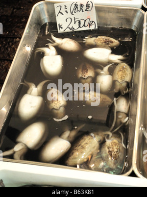 Tintenfisch in schwarzer Tinte Wasser zum Verkauf an den Tsukiji-Fischmarkt, Tokyo, Japan Stockfoto