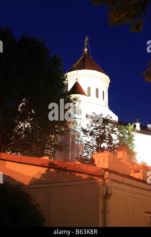 Die Kathedrale von Theotokos in Vilnius, Litauen Stockfoto