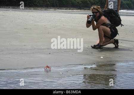 Touristische an einem Strand in Costa Rica nimmt ein Bild einer Krabbe. Stockfoto