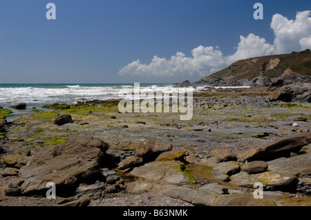 Gunwalloe Cove - Johannes Gollop Stockfoto