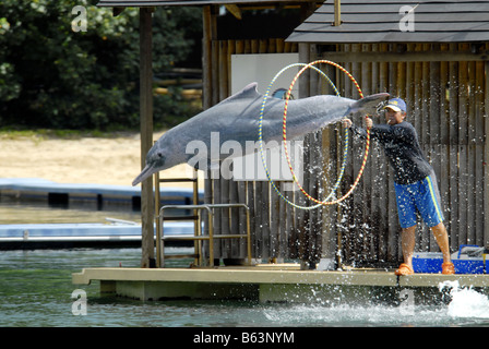 DELPHIN-LAGUNE IN SENTOSA SINGAPUR Stockfoto