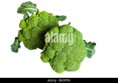 Zwei Köpfe broccoli Stockfoto