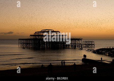 Zuschauer beobachten eine Murmuration (Herde von Staren) fliegen über dem West Pier in Brighton, Sussex, England. Stockfoto