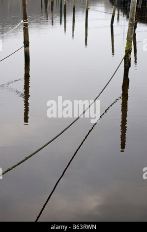 Hafen, Stangen und Seile Stockfoto