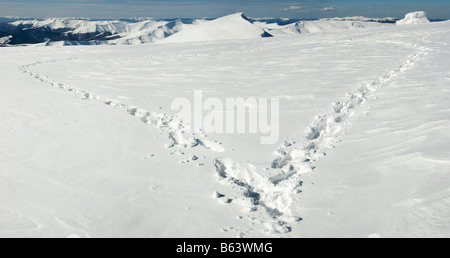 Menschlichen Fußabdruck bilden die Herzform auf Schnee bedeckten Berg-Plateau und Bergketten hinter. Vier Schüsse feststeppen Bild. Stockfoto