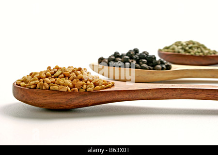 Bockshornklee (Rehkörner Samen) und anderen Gewürzen in einem Holzlöffel angezeigt. Stockfoto