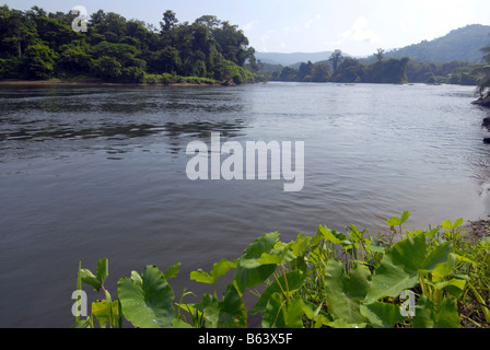 PERIYAR FLUß IN THATTEKAD VOGELSCHUTZGEBIET, KERALA Stockfoto