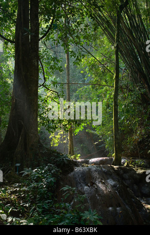 SA Nang Manora Forest Park, Godbeams und Wasserfall, Phang Nga, Thailand Stockfoto