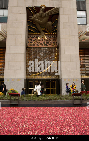 Cranberry Bog installiert als ein Werbegag nahe dem GE Building am Rockefeller Center in Manhattan, New York, USA. Stockfoto